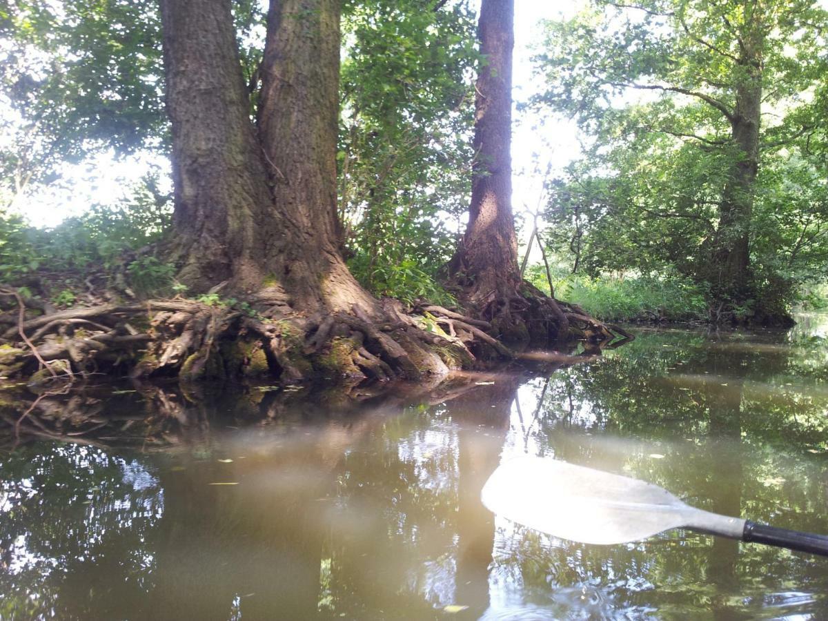 Doppelzimmer Im Spreewald Burg  Dış mekan fotoğraf